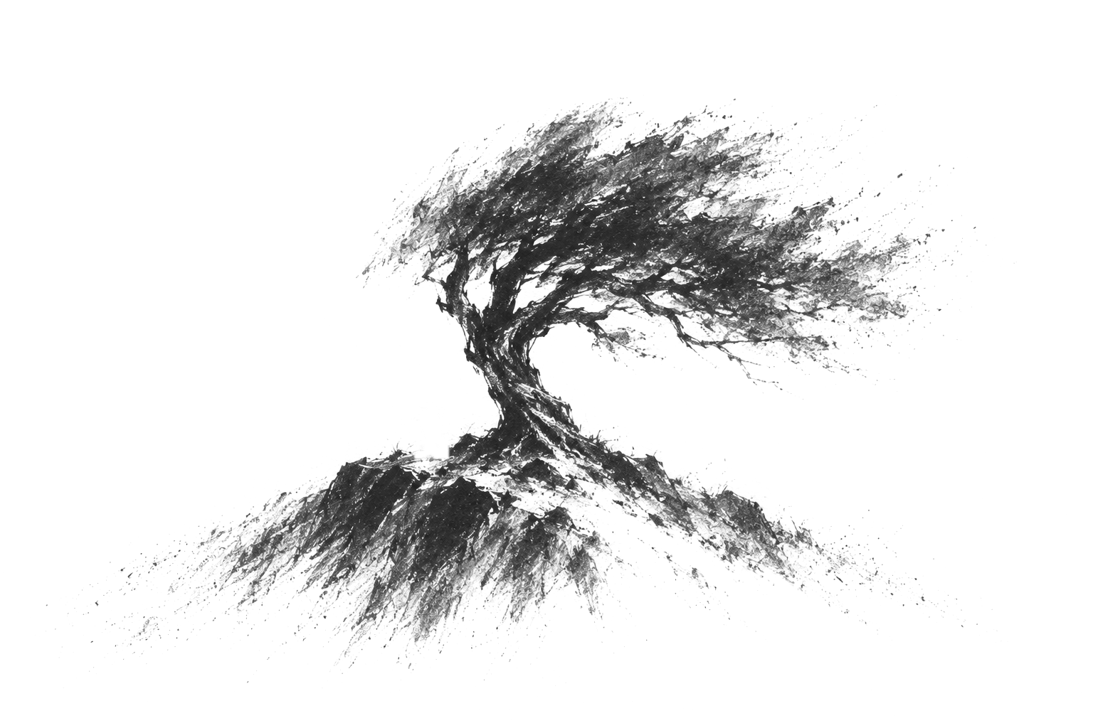 Charcoal drawing: a wind-bent tree on a hill